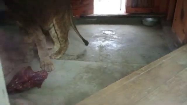 И почему мне не очень нравится этот кусочек