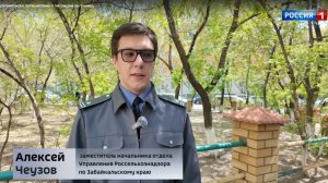 Питомцы поедут за границу! Что для этого нужно, разъясняют ветеринары и инспекторы Россельхознадзора