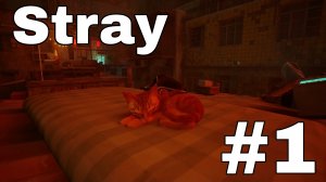 Прохождение  Stray #1