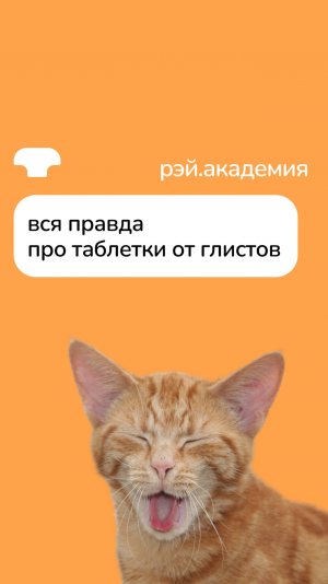 Вся правда про таблетки от глистов
