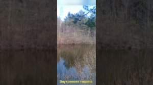 Внутренняя тишина Карлос Кастанеда