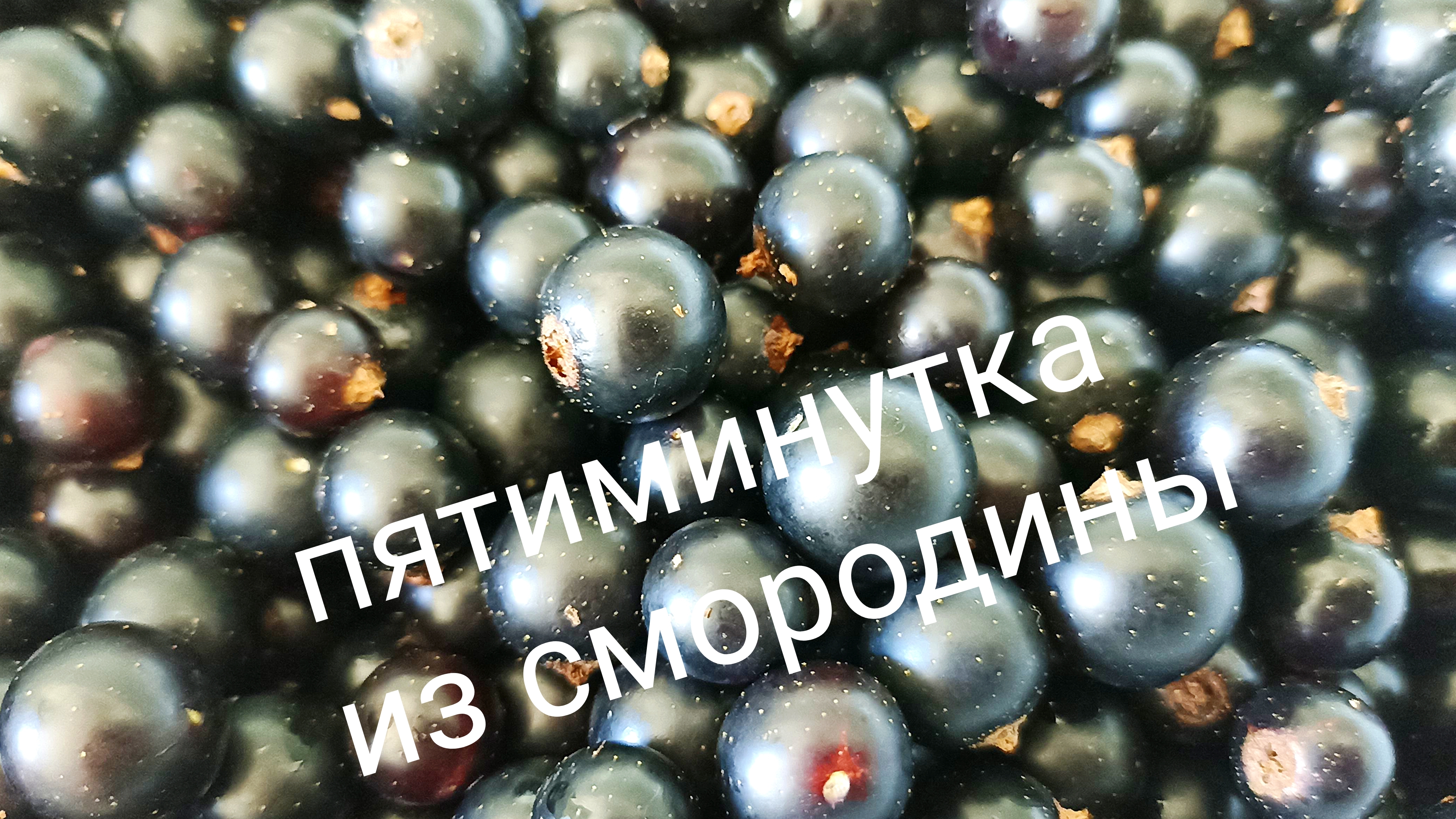 Варенье из смородины " Пятиминутка "
