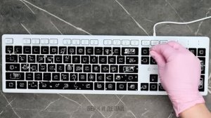 ПРИДАЙТЕ ВАШЕМУ ДВОРУ ЯРКОСТЬ! Легкие и Красивые Идеи для Сада ✂️