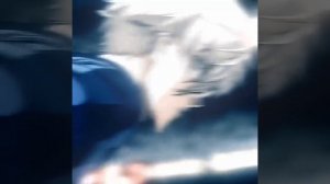 bluelock-anime