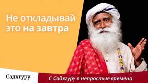 Не откладывай это на завтра