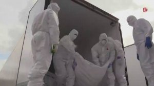 Россия передала Украине еще тысячу тел солдат ВСУ / События на ТВЦ