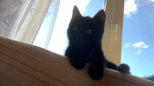 Мой любимый город Якутск