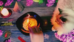 ☘️☘️ЭТО ВЫ ДОЛЖНЫ УСЛЫШАТЬ 🔥 ПОСЛАНИЕ ОТ ВЫСШИХ СИЛ ДЛЯ ВАС  ❗️🔥 #онлайнгадание