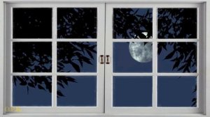 МОЙ ХРУПКИЙ МОТЫЛЕК   читает автор Лариса Чугунова