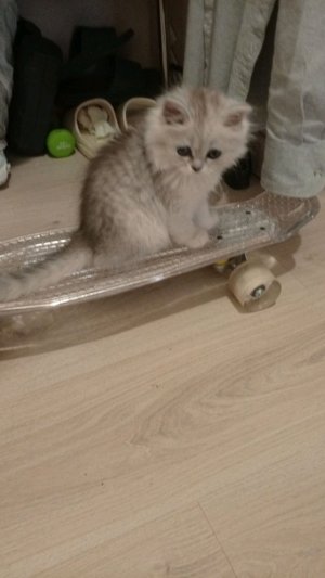 Юки
