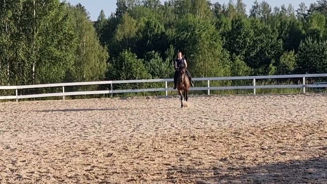 rutube.ru