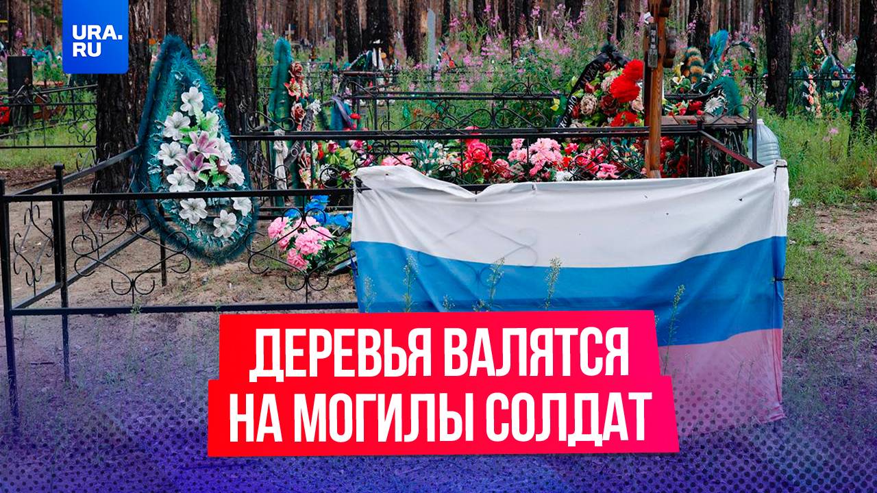 Сгоревшие деревья рухнули на могилы бойцов СВО под Курганом