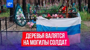 Сгоревшие деревья рухнули на могилы бойцов СВО под Курганом