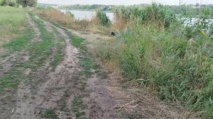 Вот и мы купаемся