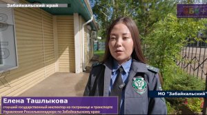 Сразу несколько ведомств ведут мониторинг здоровья дзеренов на территории Забайкальского края