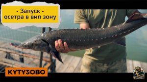 Запуск осетра в вип зону 17.07