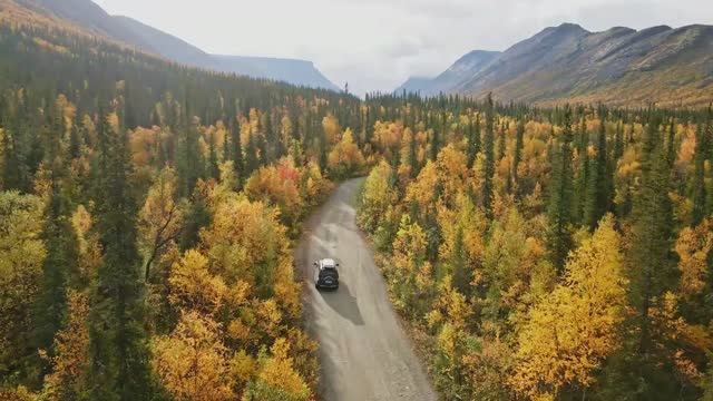 Золото Кольского