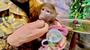 Степашку ОТМЫЛИ и он получает от Влада заслуженную вкусняшку за терпение)))