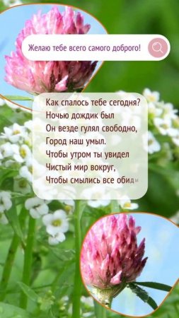 Доброе утро! Летняя открытка