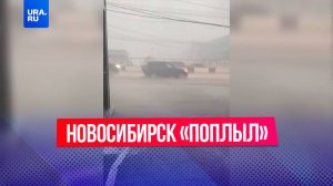 Новосибирск «поплыл»: ливень затопил город, повалил дерево на человека