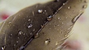 Притча Джейсон и Пещера Творения