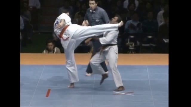 Нокауты Карате Киокушин