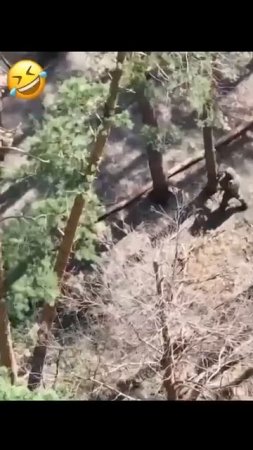 Дважды повезло российскому солдату.  Первый раз когда вражий FPV не взорвался во время атаки, вт...