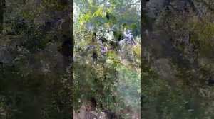 в больнице