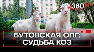 Бутовских коз конфисковали: конец эпохи или есть надежда?