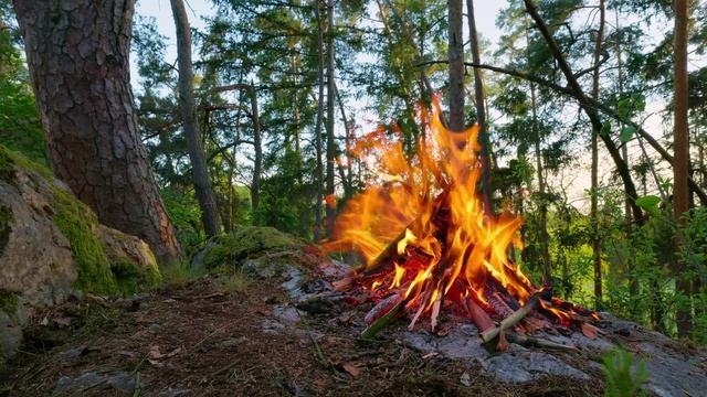🔥 Умиротворяющий костер на скале