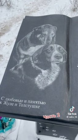 Кто- то распорядился чужой жизнью. Своей они так бы не стали ,берегли бы  ее.