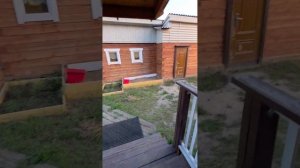 video_2025-07-17_19-49-49