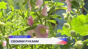Жительница Канавинского района превратила обычный газон в настоящий цветник