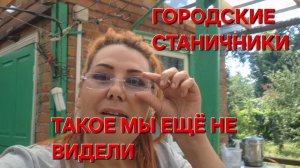 622 Переезд на юг в станицу. Такое мы никогда не видели.