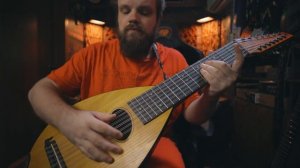 14 Струнная МУЛЬТИМЕНЗУРНАЯ Лютня   Лютик из Ведьмака Отдыхает