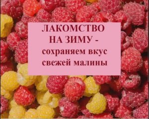 Лакомство на зиму - сохраняем вкус свежей малины