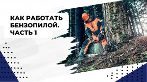 Как работать бензопилой. Часть 1