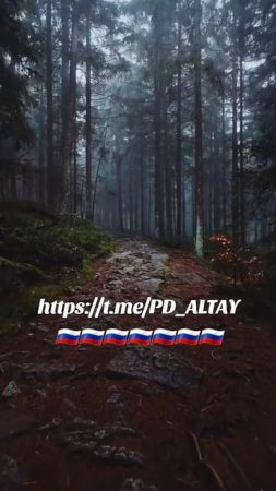 РЕГИОНАЛЬНАЯ ГРУППА АЛТАЙ