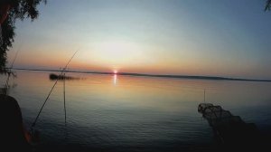 Хитрый карась и жареная в масле плотва.