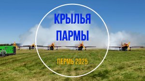 Крылья пармы 2025 в Перми