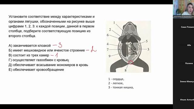 записи практик (4)