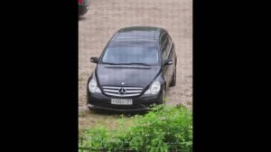 Чеблюксавто г.Чебоксары || Приволжье, приволжский федеральный округ, аргументы и факты, ПФО, паслен