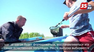 Георгий Филимонов: активизируем работу по сохранению сухонской стерляди на Вологодчине