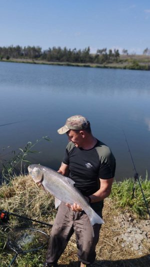 Толстолобик на краснянке