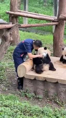 Он думал, что спрятался