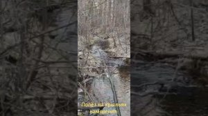 Полёт на крыльях намерения Карлос Кастанеда искусство сновидений