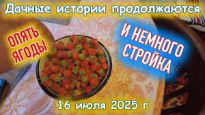 Немного стройки и ягод на даче 16 июля 2025 г