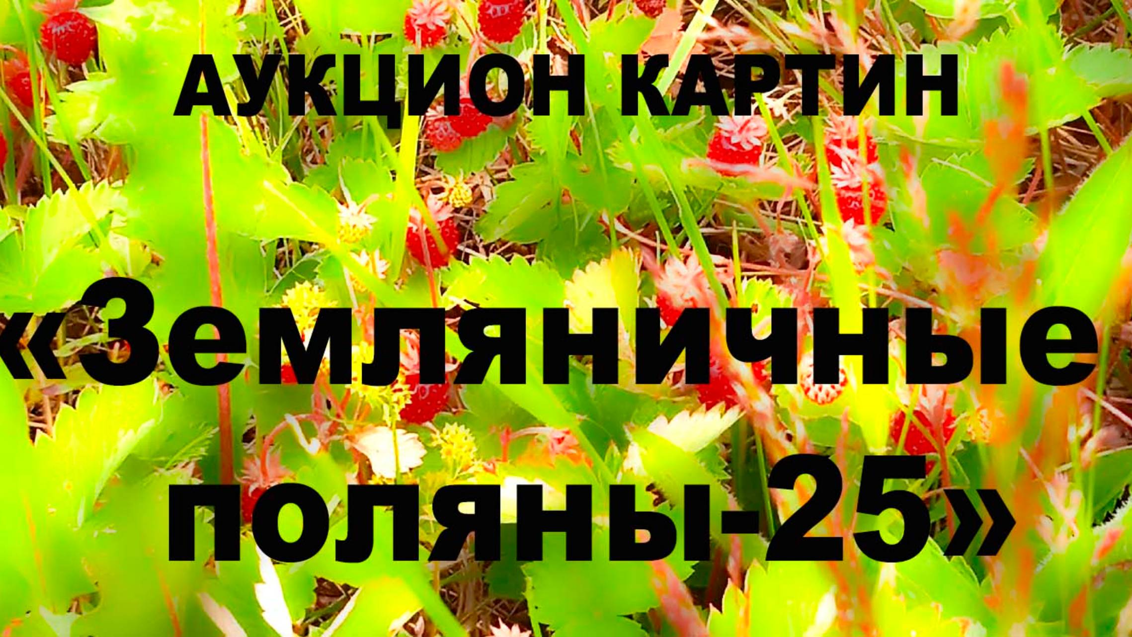 Приглашение на аукцион Земляничные поляны25