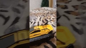 Распоковка