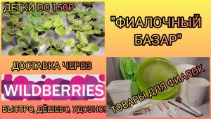 "Фиалочный базар".